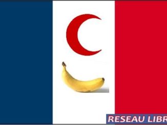 drapeau_france1-1.jpg